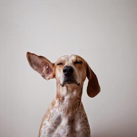 Sentido o sensibilidad?