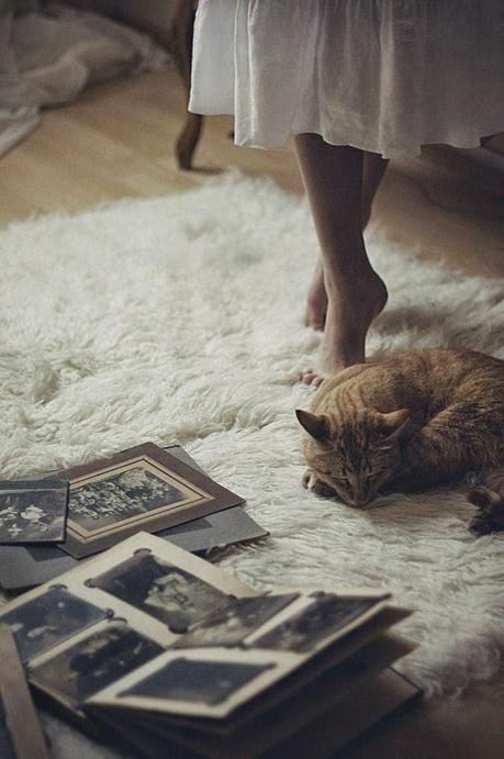 Sentido o sensibilidad?