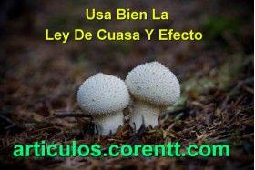 la ley de causa y efecto