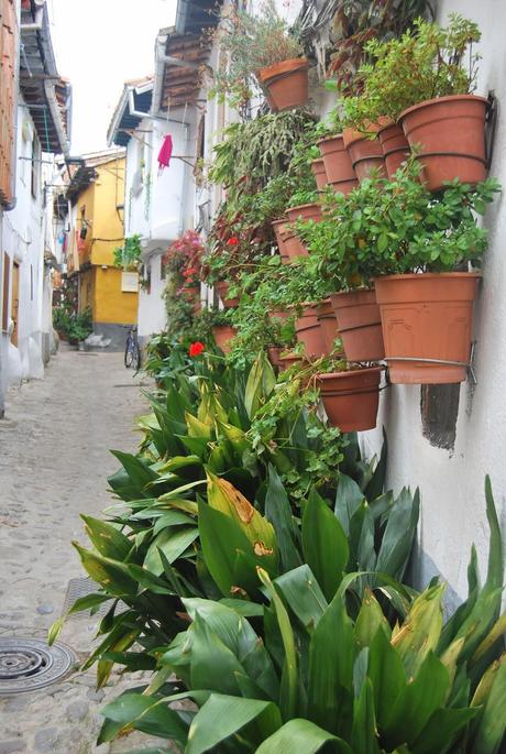 DESCUBRIENDO LA SIERRA DE BÉJAR