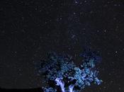 mirada estrellas