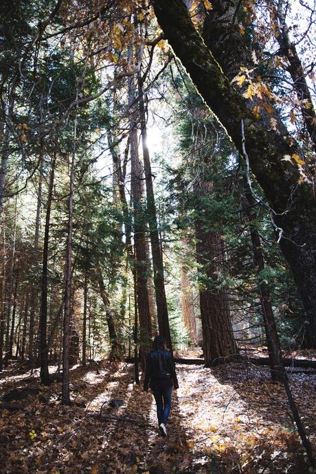 Yosemite-Jeans-Biker_Jacket-Converse-Outfit-Casual_Look-5