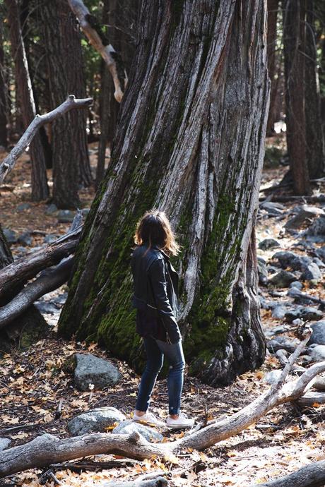 Yosemite-Jeans-Biker_Jacket-Converse-Outfit-Casual_Look-17