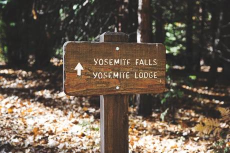 Yosemite-Jeans-Biker_Jacket-Converse-Outfit-Casual_Look-38