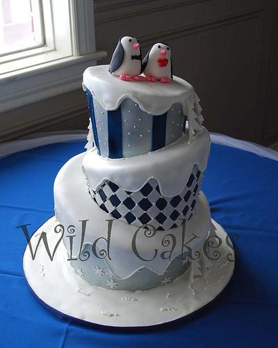 Bodas en diciembre Wild cakes