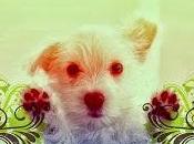 Bajo condiciones, Kristel Ralston