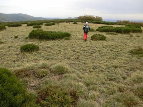 La Cañada-La Vidulina-Pelao-Cueto Agudo-Los Caleares