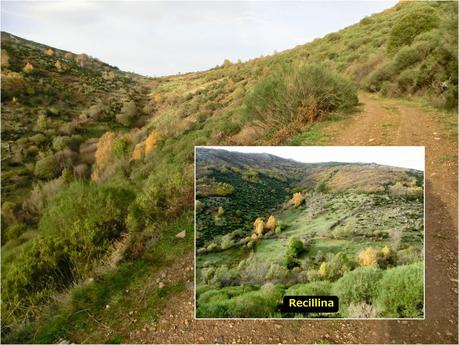 La Cañada-La Vidulina-Pelao-Cueto Agudo-Los Caleares