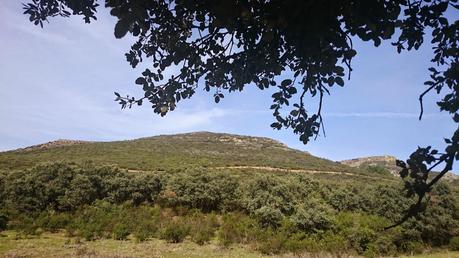 UN OTOÑO QUE NO LLEGA...