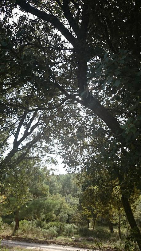 UN OTOÑO QUE NO LLEGA...