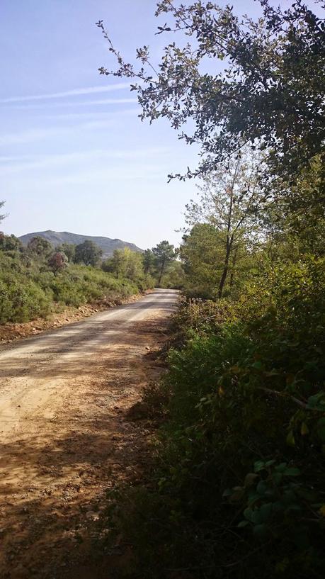 UN OTOÑO QUE NO LLEGA...