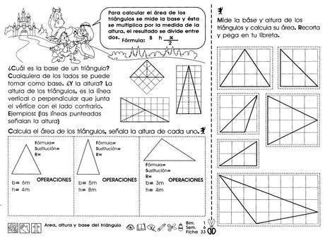 Area, altura y base del triángulo