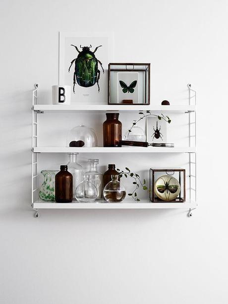 Sorteo: String Pocket!