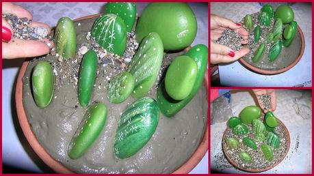 UNOS CACTUS MUY ESPECIALES!!