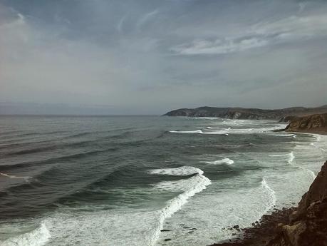 UNOS CACTUS MUY ESPECIALES!!