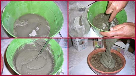 UNOS CACTUS MUY ESPECIALES!!