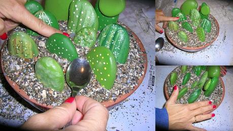 UNOS CACTUS MUY ESPECIALES!!