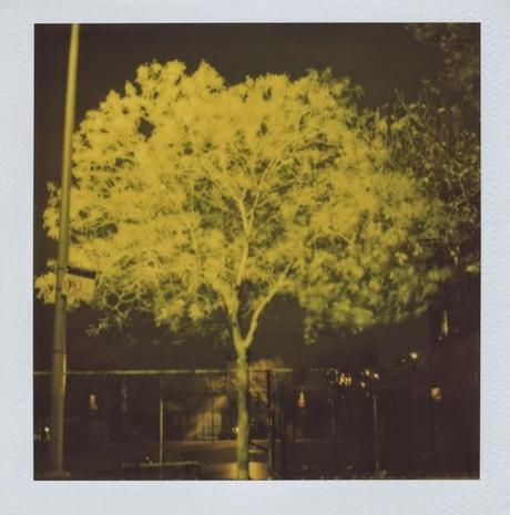 Las polaroids de Jem Cohen