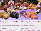 Xiii jornadas micológicas sigüenza
