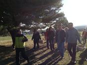 Condemios arriba. jornadas micologicas