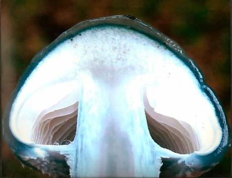 COMIENZAN LAS VOTACIONES