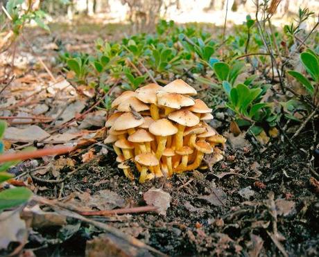 COMIENZAN LAS VOTACIONES