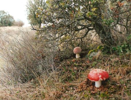 COMIENZAN LAS VOTACIONES