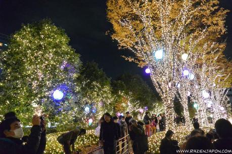 Empieza la iluminación NAVIDEÑA japonesa 2014