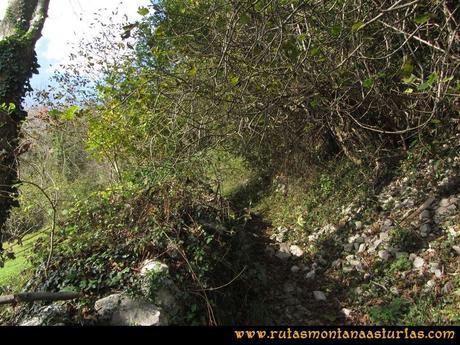 Ruta Baiña, Magarrón, Bustiello, Castiello. Entrada en el sendero