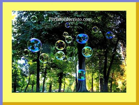 4941742369_9322e22dee_z