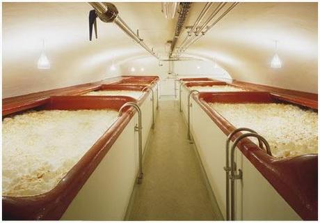 BLOGSSIPGIRL HA ESTADO ALLI: FÁBRICA DE CERVEZAS LA ZARAGOZANA