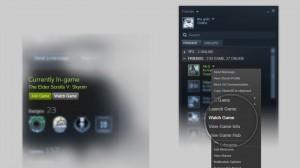 Steam Broadcasting 300x168 Valve anuncia el servicio streaming para Steam
