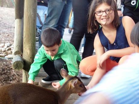 Planes en Madrid... con niños Planes en Madrid... con niños