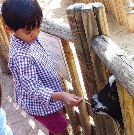 Planes en Madrid... con niños