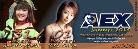 AEX Summer 2015