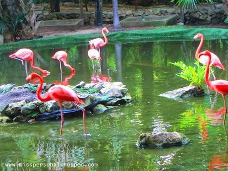 VIAJES: Vacaciones en GRAND PALLADIUM en RIVIERA MAYA!