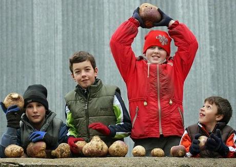 Fiesta de Jarramplas. Piornal. Valle del Jerte