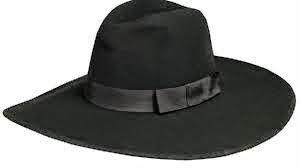 Looks con sombrero Fedora