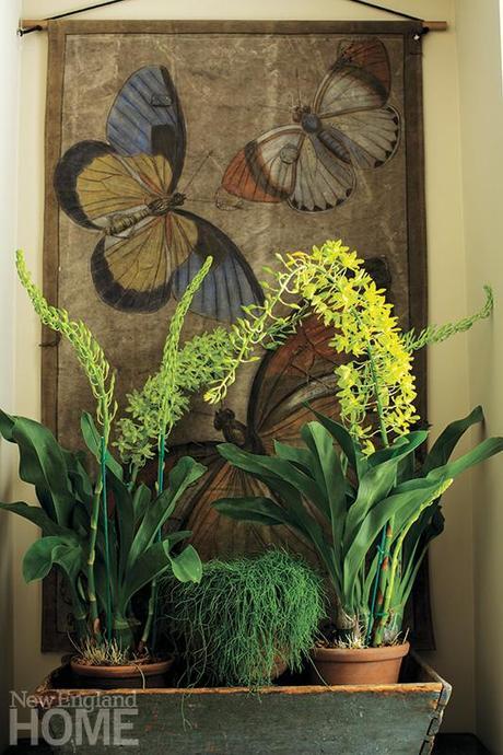 Rústico y Ecléctico