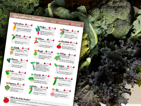 calendario de siembra diciembre