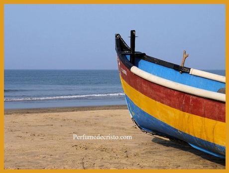 Playa-barca-Arambol-India