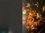 Exposición Nómada Arte Jerez