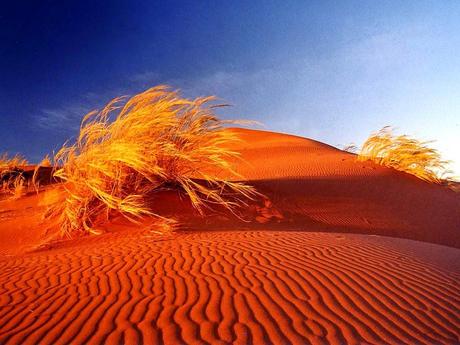 Desierto de Namibia