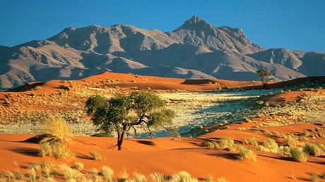 Desierto de Namibia