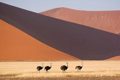 Desierto de Namibia