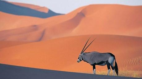 Desierto de Namibia