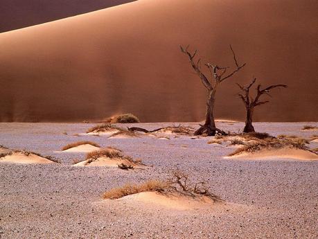 Desierto de Namibia