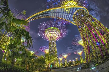 Gardens by The Bay