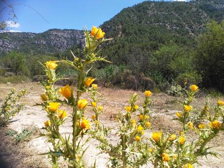 Grandes historias de cosas pequeñas - 10: La espuela del viento
