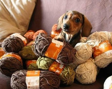 Puntos cardinales de Jatte: 3. Rusticae